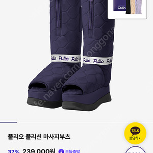 풀리오 풀리션