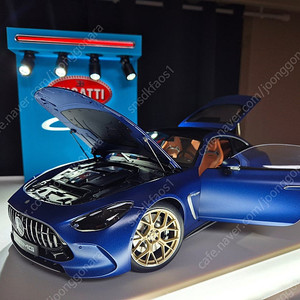 1/12 NGZ 신형 AMG GT 63+ (C192) 판매합니다