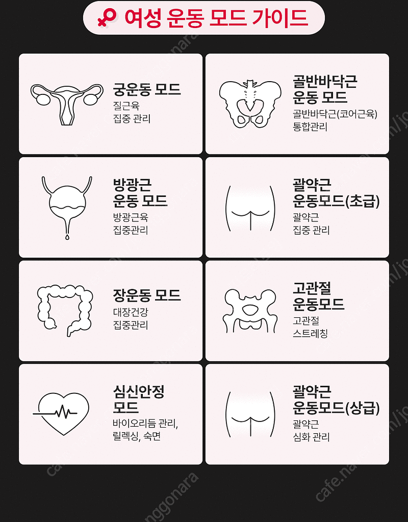 웨이브케어 리진바이오 V10 케겔운동기구