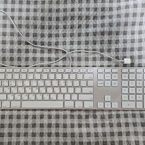 부품용) 애플 키보드 A1243