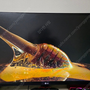 lg 34인치 울트라와이드 144헤르츠 게이밍모니터 글확인