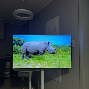 삼성 oled 42sf90 판매