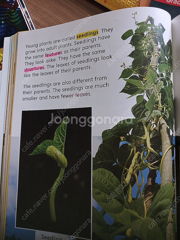 Inspire science 12권 (k g1 g2)--2