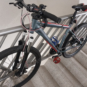 (서울 구로) 영국 알톤 라레이 자전거 판매합니다. 이미지