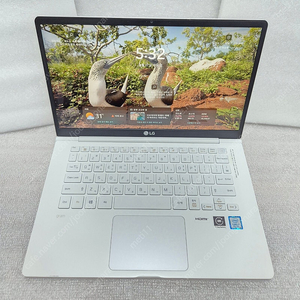 LG 그램 14인치 사무용 노트북 GRAM 14Z990 i5 8세대 16G SSD 256GB 판매합니다.