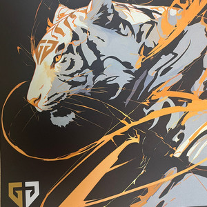 GB5050 젠지 마우스 패드 팝니다 겜용이 X 젠지