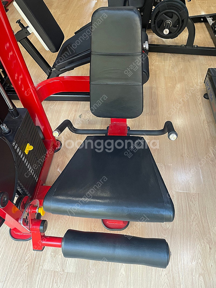 레그 익스텐션--3