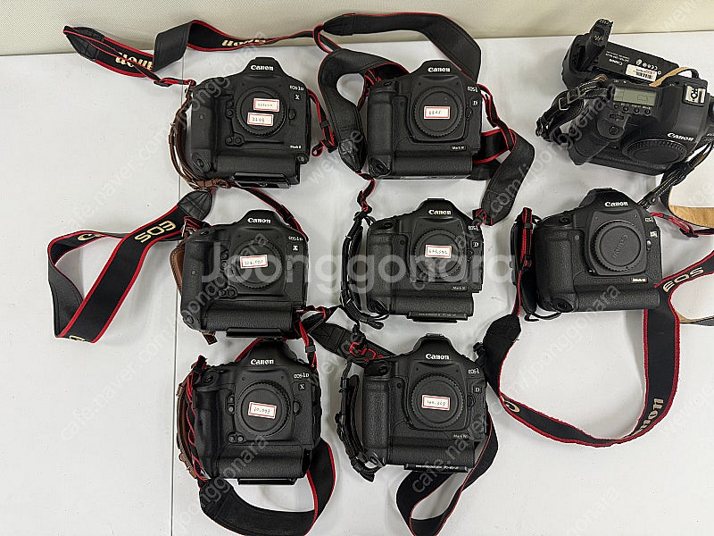 관리 잘된 캐논 왕덱스 1DX 2대 DSLR 바디 처분...--0