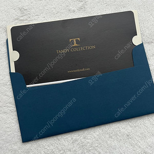 탠디 상품권 구두교환권