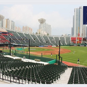 오늘(8.29(금))롯데 vs 두산 1루 내야필드석 정가 양도