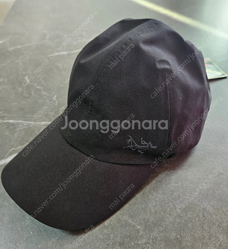 아크테릭스 고어텍스모자 라지--1