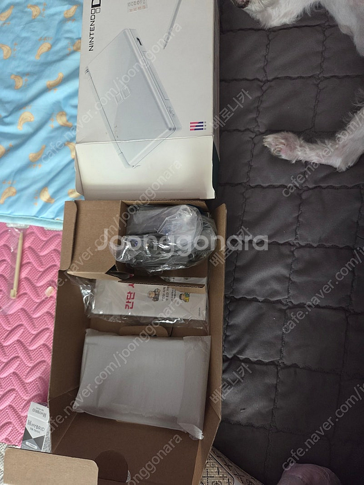 닌텐도 DS 와 타이틀--1