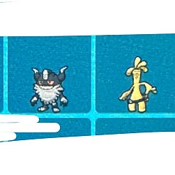 레이드용 6마리 포켓몬스터 스칼렛 바이올렛