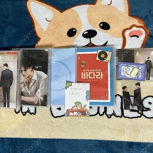 BL 드씨 원포더로드