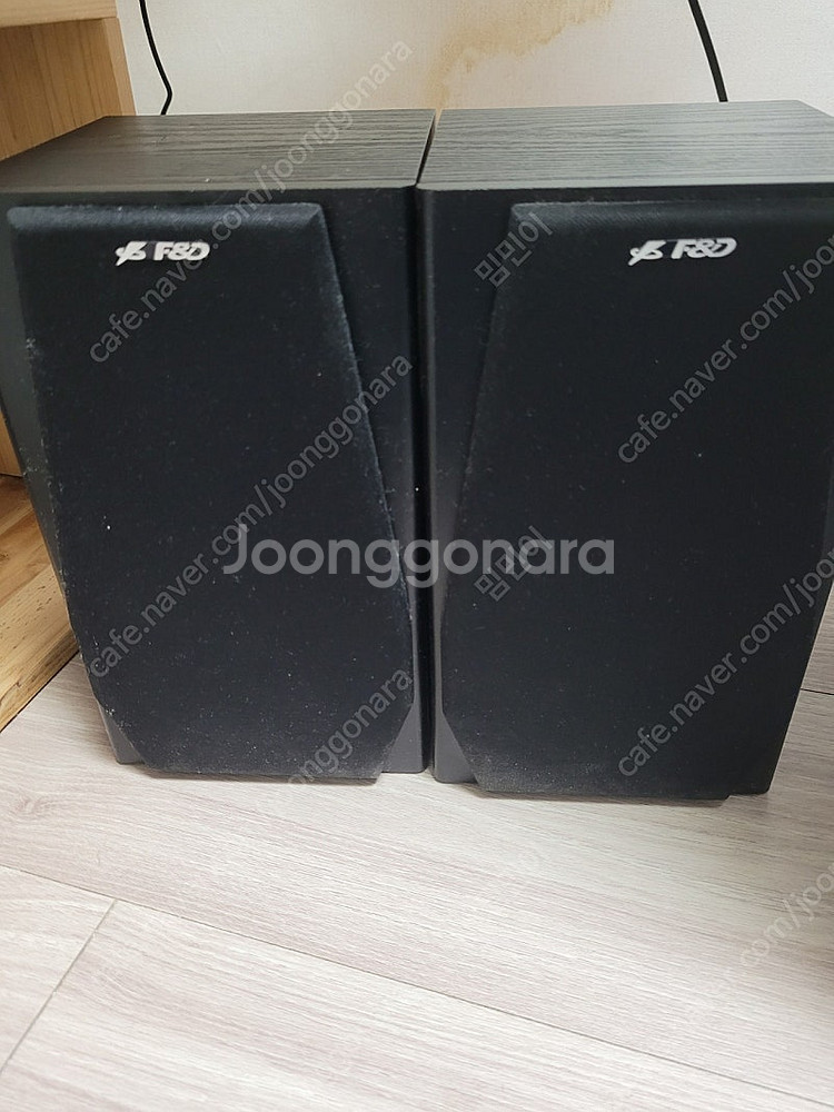 캔스톤 F&D R218 스피커--0