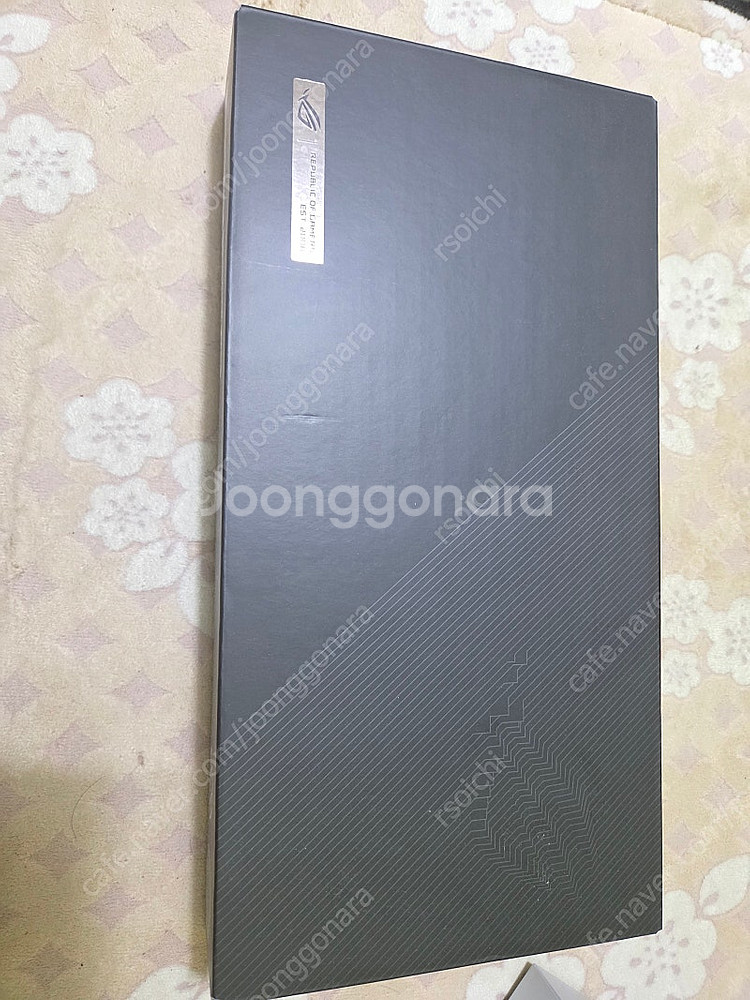 rog ally 백갈리용 egpu xg mobile 6...--1