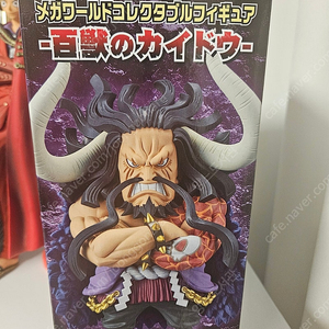 메가월콜 카이도 미개봉