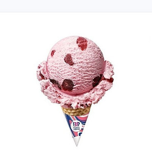 베스킨라빈스 싱글레귤러