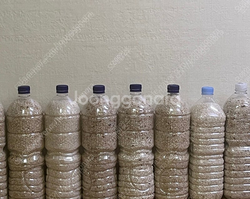 [잡곡 및 찹쌀]--0