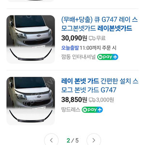 레이 본넷가드 팝니다.