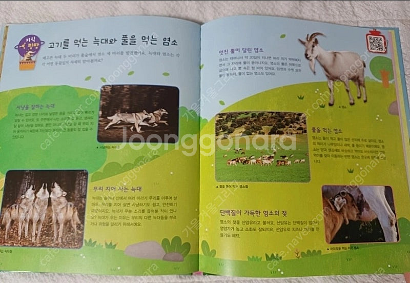 교원 조물조물 창의놀이 전집 전30권+스마트 창의력카드--2