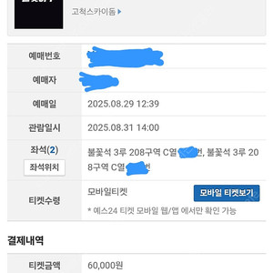 불꽃야구 연천 미라클 고척 불꽃석 208구역 2연석