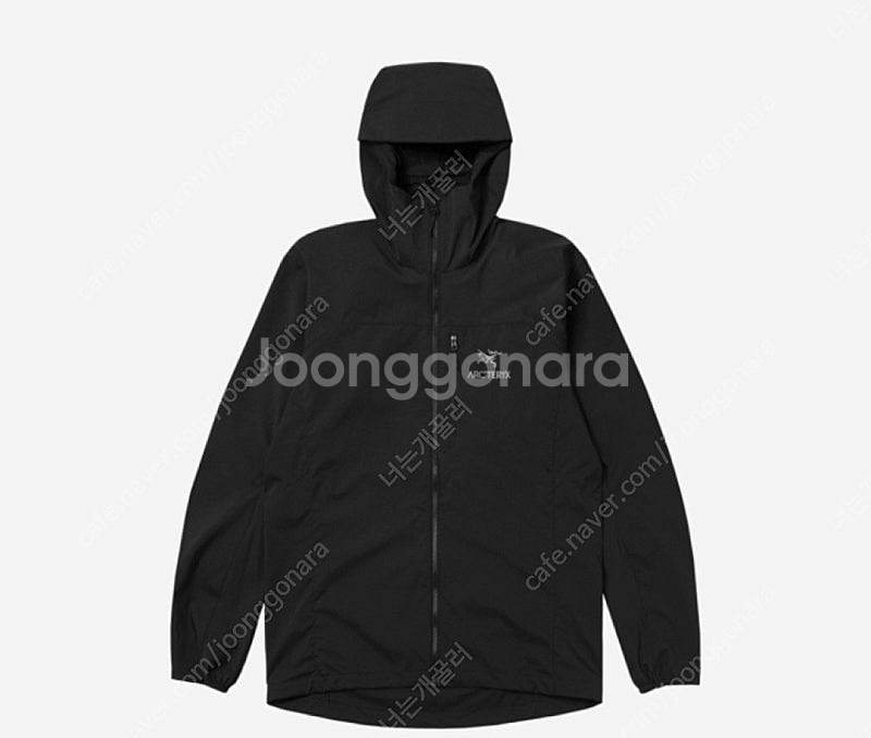 [L]아크테릭스 스쿼미시 후디 블랙--0
