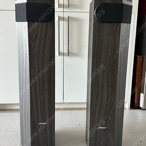 BOSE 501-5 빈티지 스피커