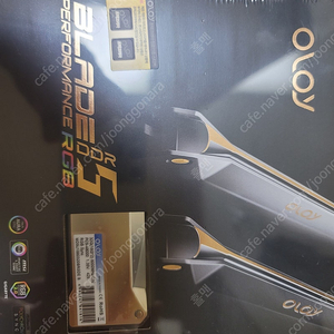 (미개봉) OLOy 32g DDR5-6000 cl32