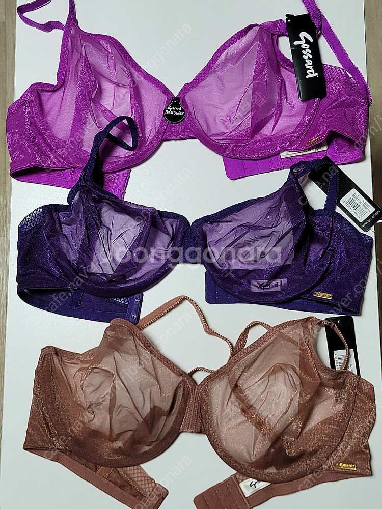 고사드 글로시브라 80E (36D) <미사용 새상품>--1