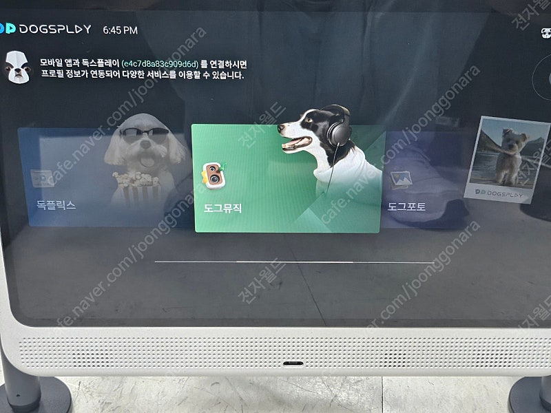 독스플레이 반려견, 반려묘 TV, 양방향 홈캠, 펫 TV 풀박스, 강아지, 고양이--3