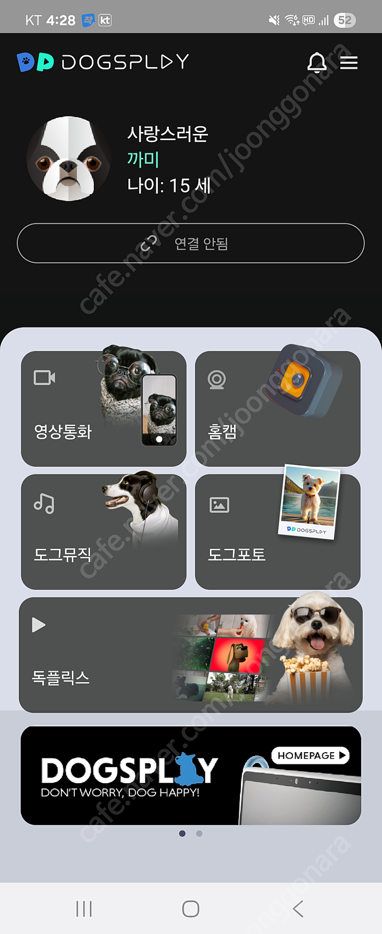 독스플레이 반려견, 반려묘 TV, 양방향 홈캠, 펫 TV 풀박스, 강아지, 고양이--9