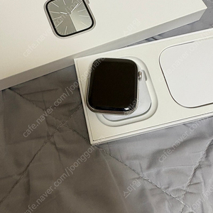애플워치9 45mm 스테인리스 실버 애케플