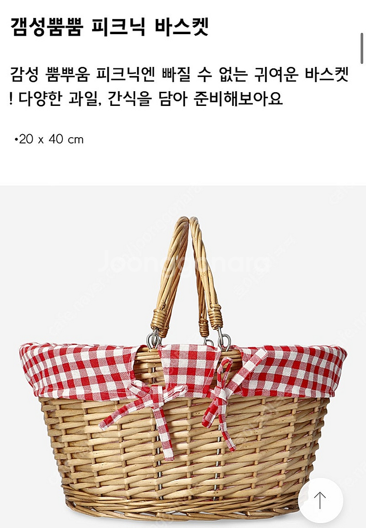 플라잉타이거 코펜하겐 피크닉 바스켓--7