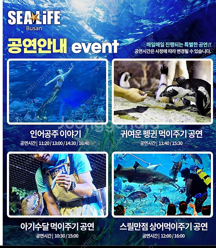 해운대 씨라이프 아쿠아리움--0