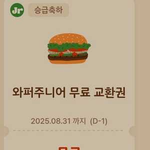 버거킹 와퍼 주니어 2500