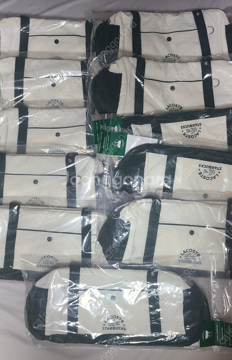 스타벅스 프리퀀시 라코스테--0