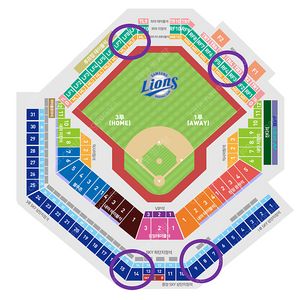 (9/6,7) 삼성 VS 한화 상단지정 외야석 2/4/6/8석 양도
