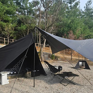 아버 윙타프 블랙
