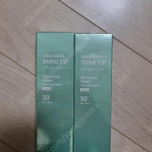 라비오뜨 스킨 인핸서 콜라겐 톤업 크림 그린 40ml