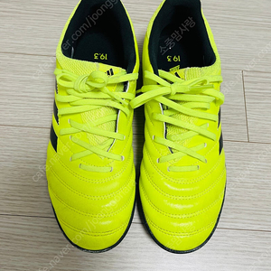 축구화 아디다스코파 풋살화 230