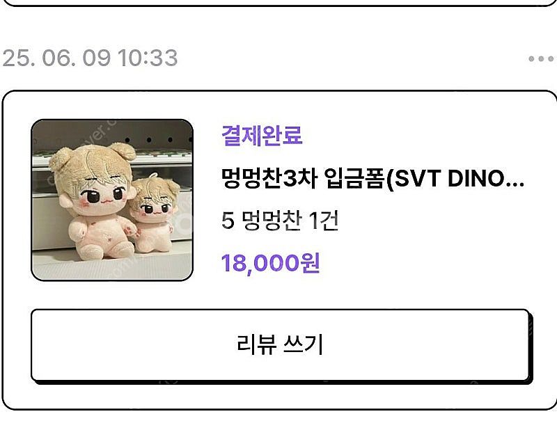 세븐틴인형--1