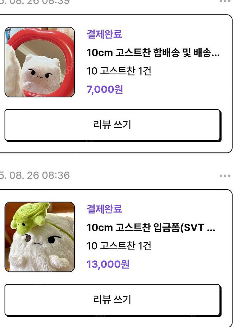 세븐틴인형--2