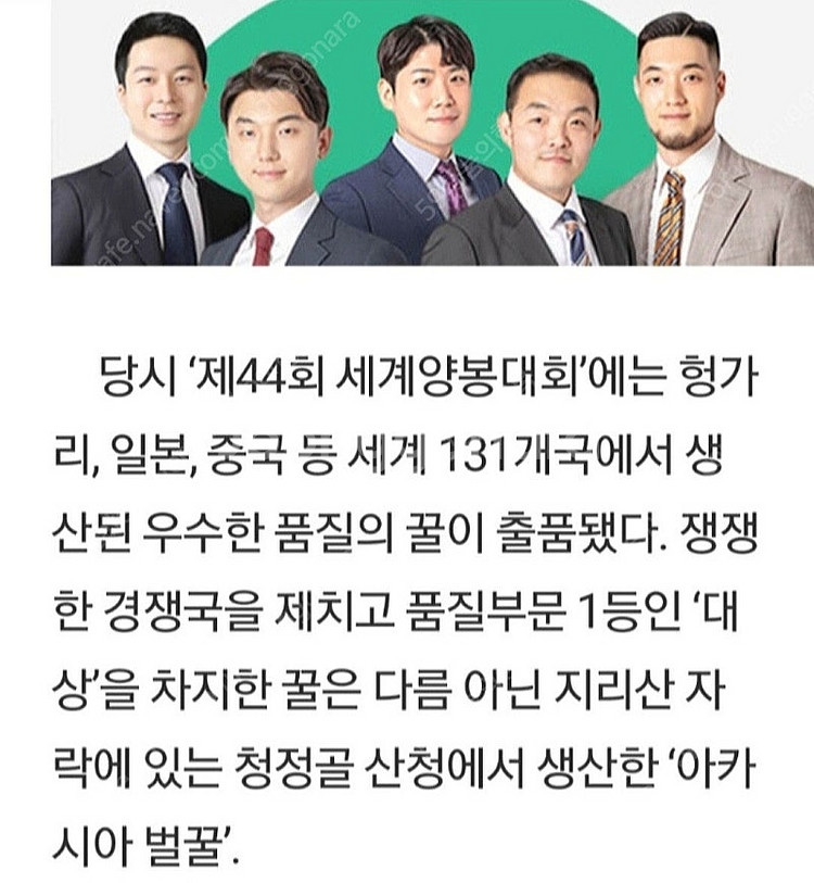 천연 숙성꿀 밤꿀 ~ 아카시꿀 잡화꿀 ~ 박리다매 (가...--4