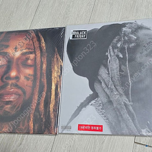 릴웨인 RSD LP 일괄