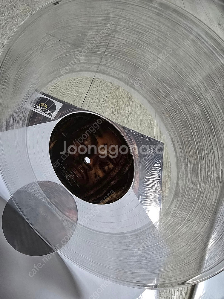 릴웨인 RSD LP 일괄--5