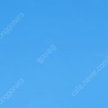 투썸플레이스 떠먹는티라미수