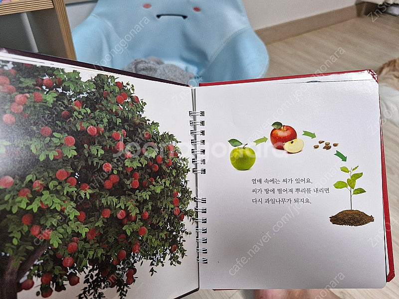 마이퍼스트월드 팝니다--1