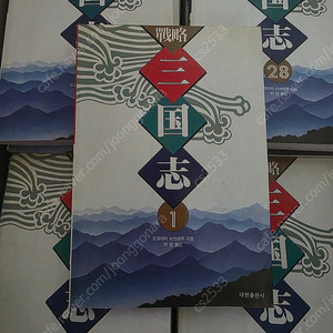 전략삼국지 전 60권