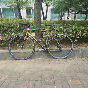 첼로 솔레이어 105 510사이즈